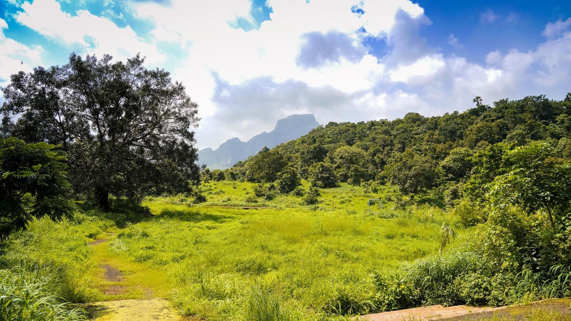 Whispering Peepul Resort バドラプル エクステリア 写真