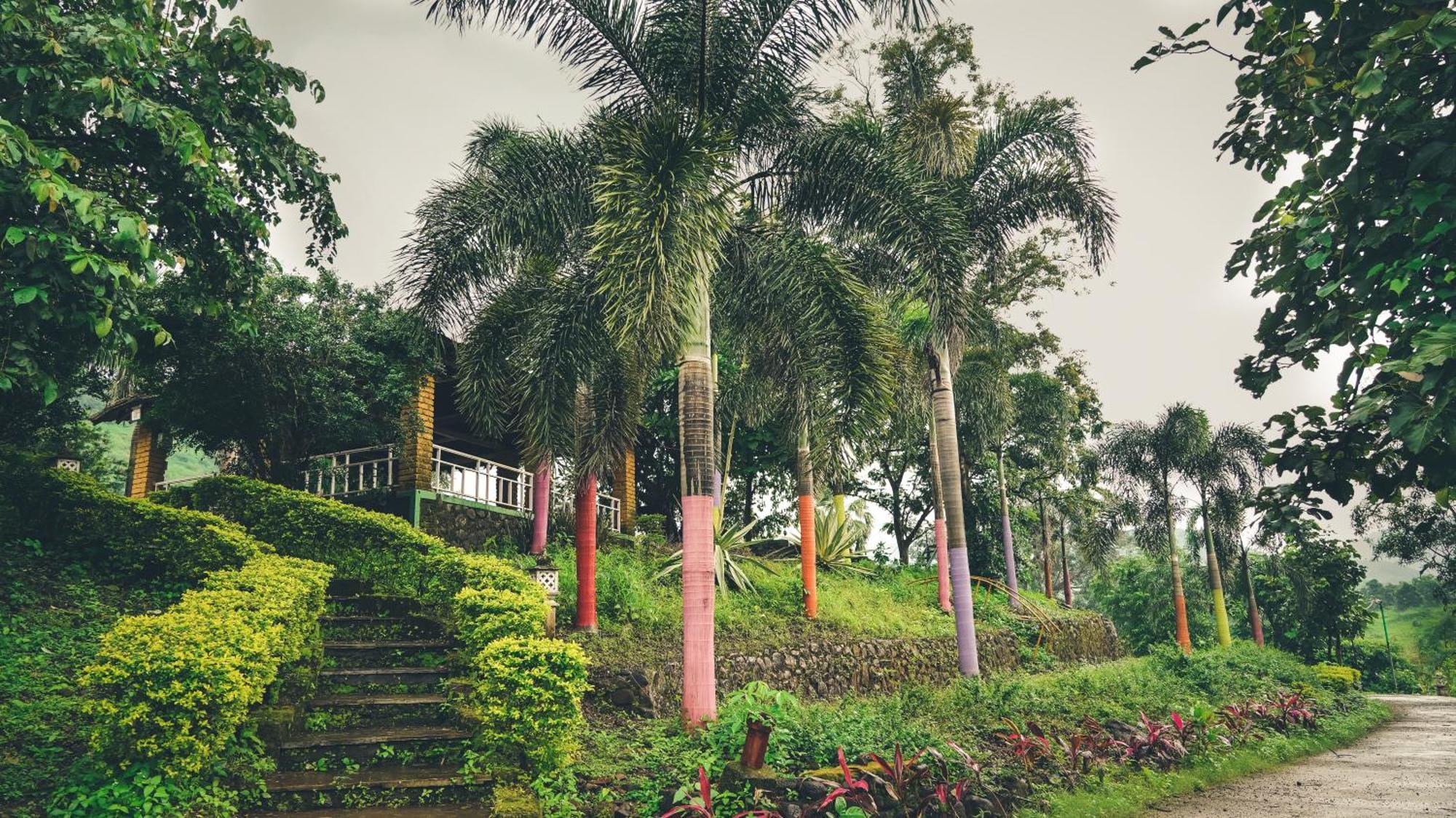 Whispering Peepul Resort バドラプル エクステリア 写真